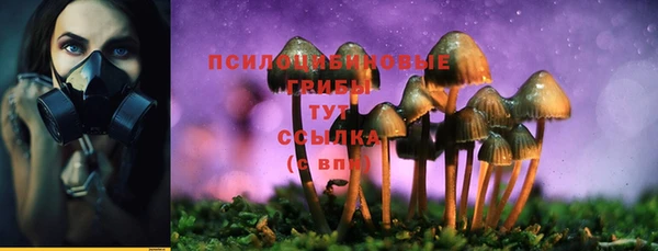 mix Беломорск