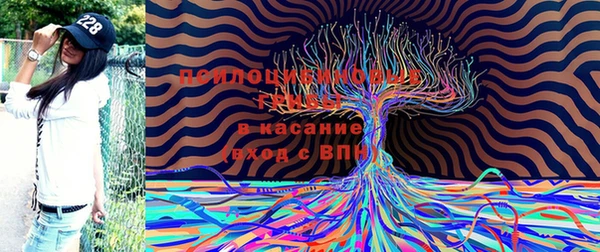 марихуана Белокуриха